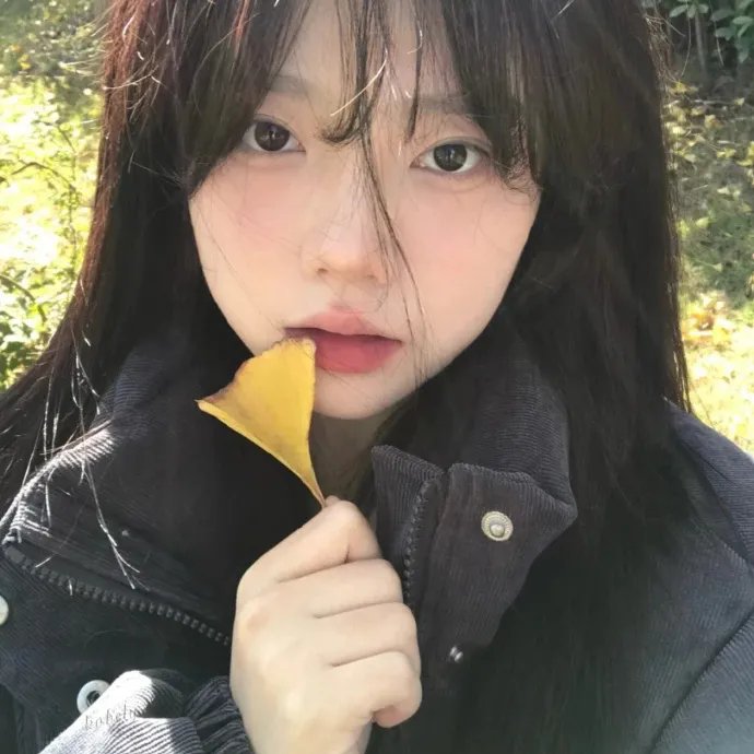 中餐厅第三季